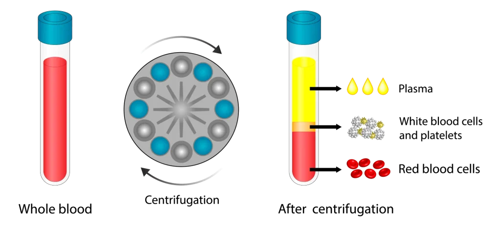 PRP graphic image